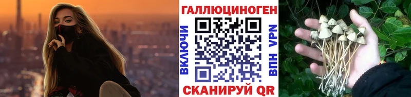 Галлюциногенные грибы GOLDEN TEACHER  Ипатово 